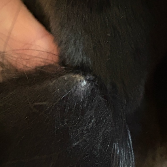 Prada Women's Black Fur Coat - Picture 10 of 10